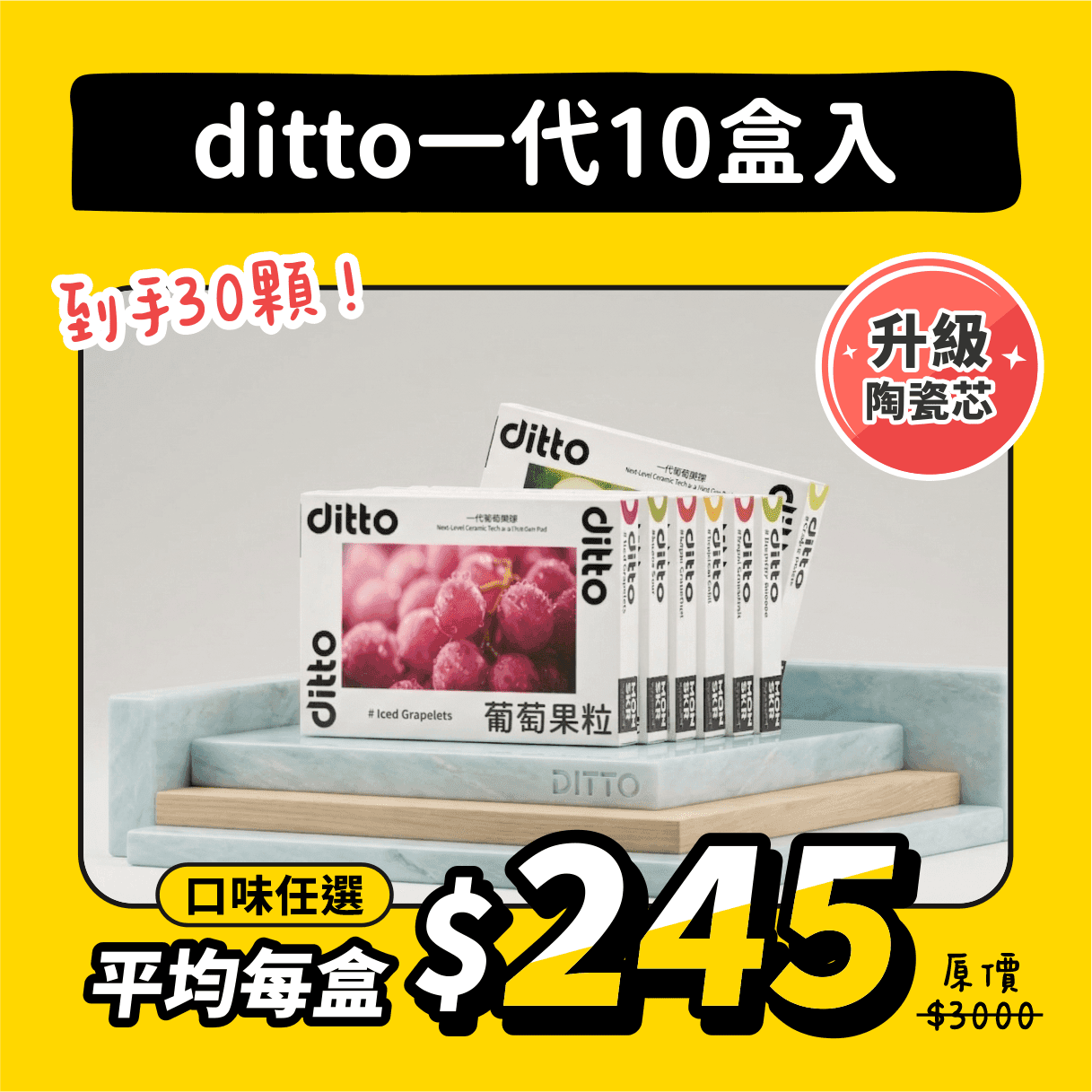 ditto一代煙彈 10盒入